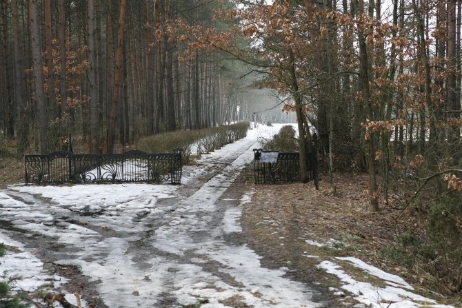 010_road to Mniszek.jpg