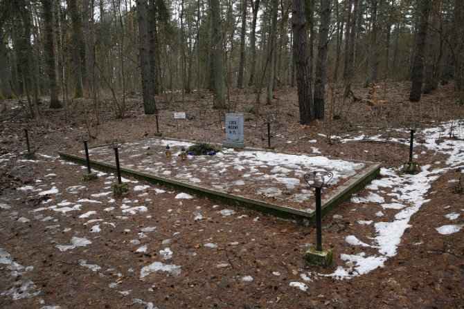 020_Szpegawski Forest.jpg