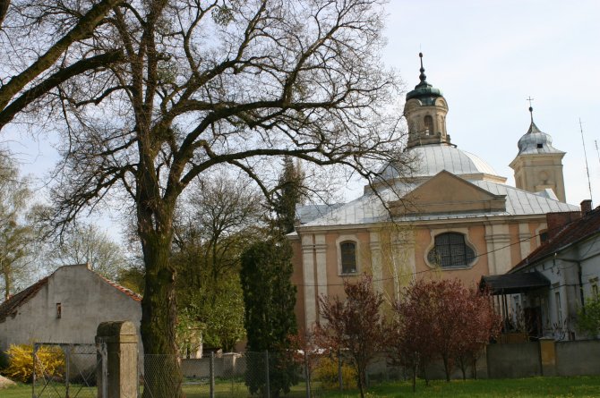 Owinska_old asylum.jpg